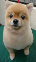 ハートクッション