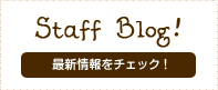 STAFF BLOG 最新情報をCHECK!!